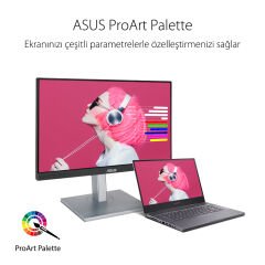 ASUS PROART PA247CV 23.6 IPS 1920x1080 5MS 75HZ DP HDMI USB-C MM VESA 3YIL 709 sRGB CALMAN SERTIFIKALI PIVOT DAISY CHAINING Monitör