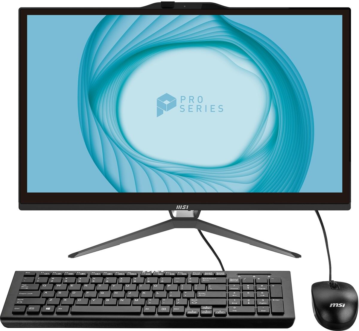 MSI PRO AP222T 13M-091XEU 256GB SSD FREEDOS MULTI-TOUCH SİYAH AIO PC