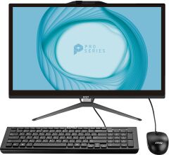 MSI PRO AP222T 13M-091XEU 256GB SSD FREEDOS MULTI-TOUCH SİYAH AIO PC